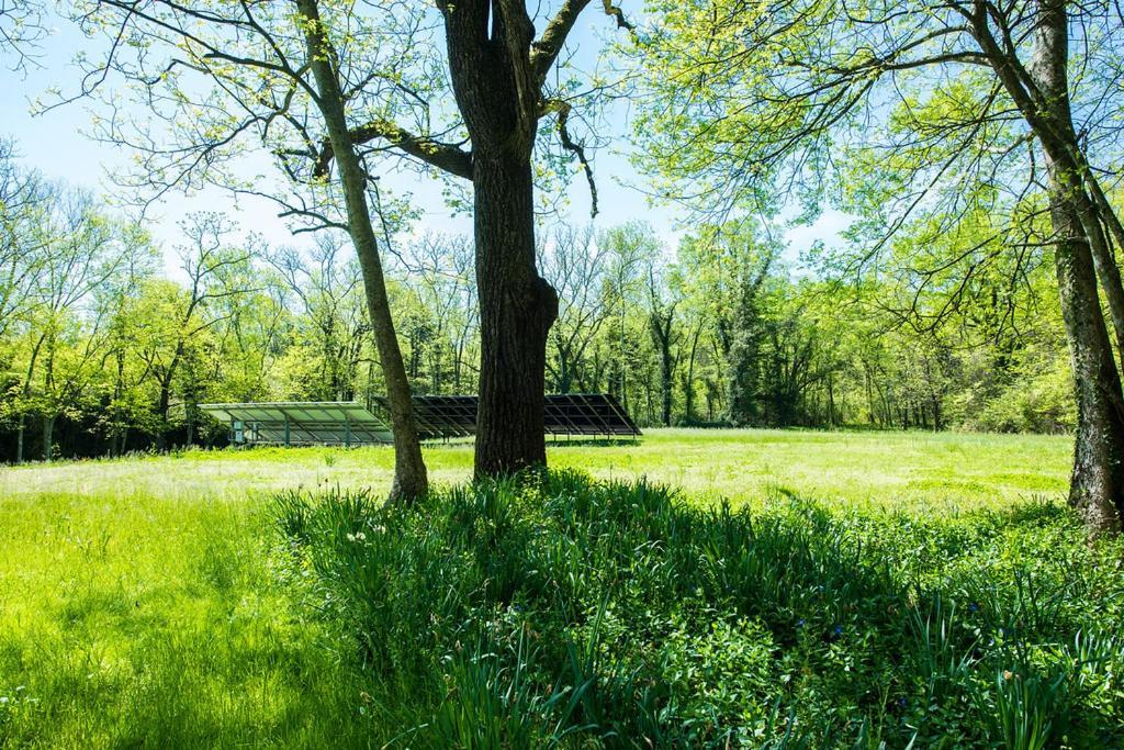 Oak Grove Bed And Breakfast South Boston Esterno foto